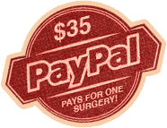 PayPal Donate